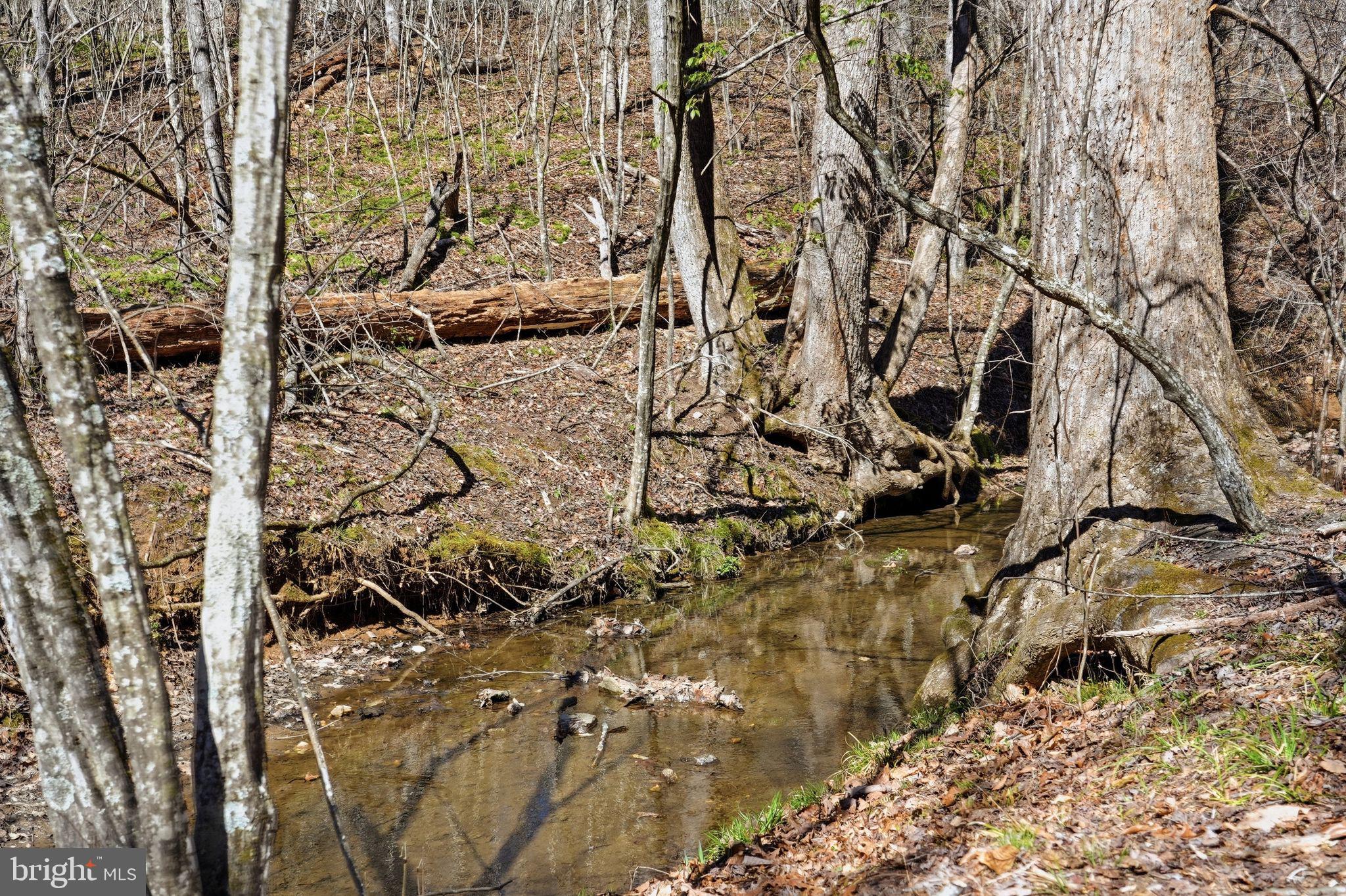 7 B Old Stillhouse Road Boston, VA 22713 - Photo 4 of 17