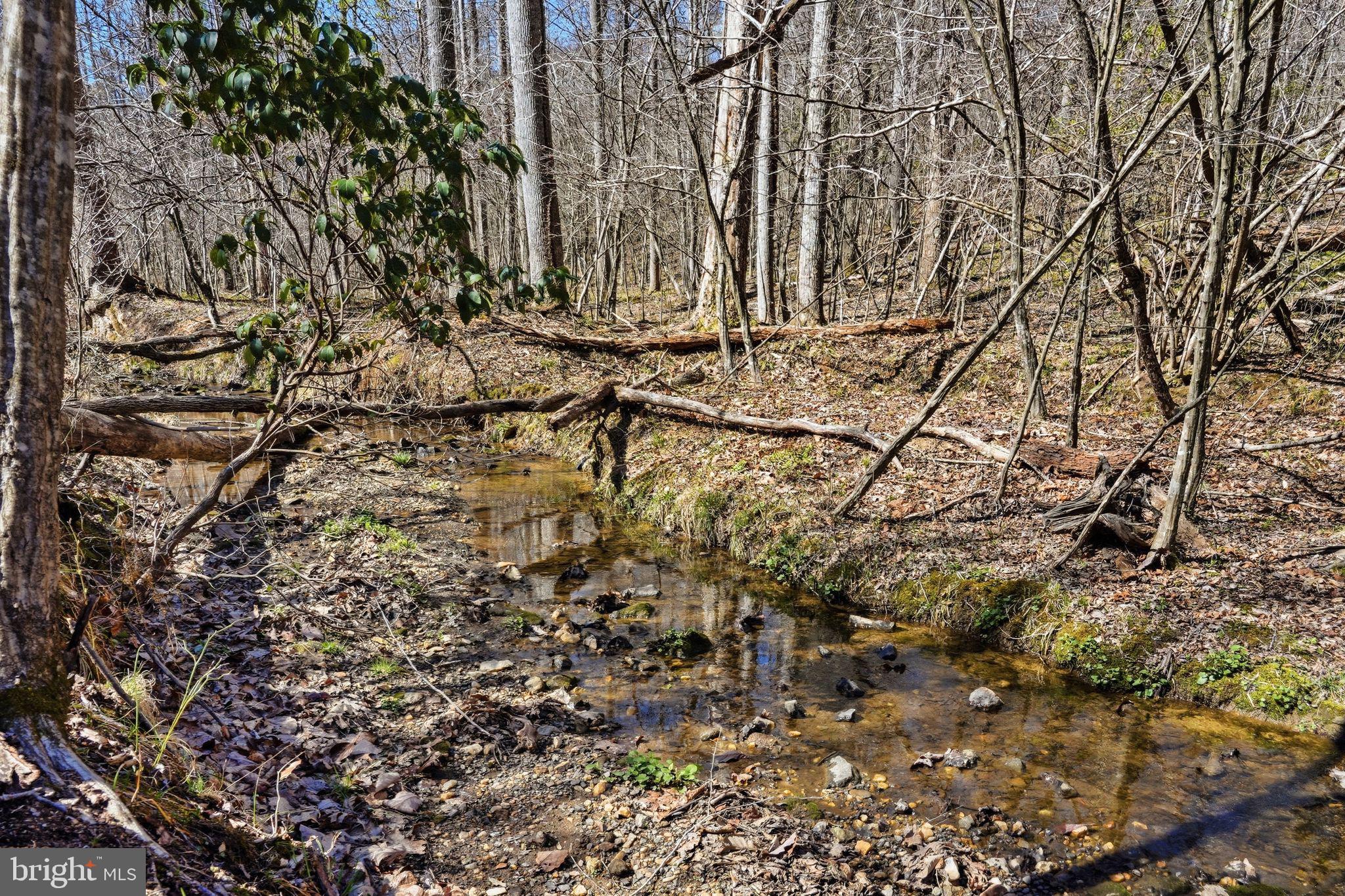 7 B Old Stillhouse Road Boston, VA 22713 - Photo 5 of 17
