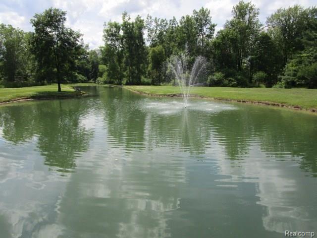 10382 Horton Road Goodrich, MI 48438 - Photo 23 of 72 IMG_5771.JPG