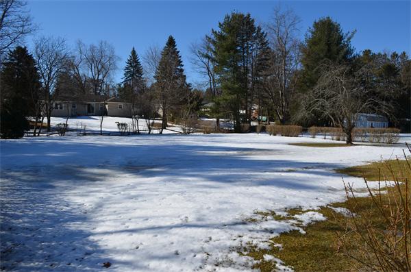 371 Wolf Swamp Road Longmeadow, MA 01106 - Photo 3 of 18 a view of a yard with tree s