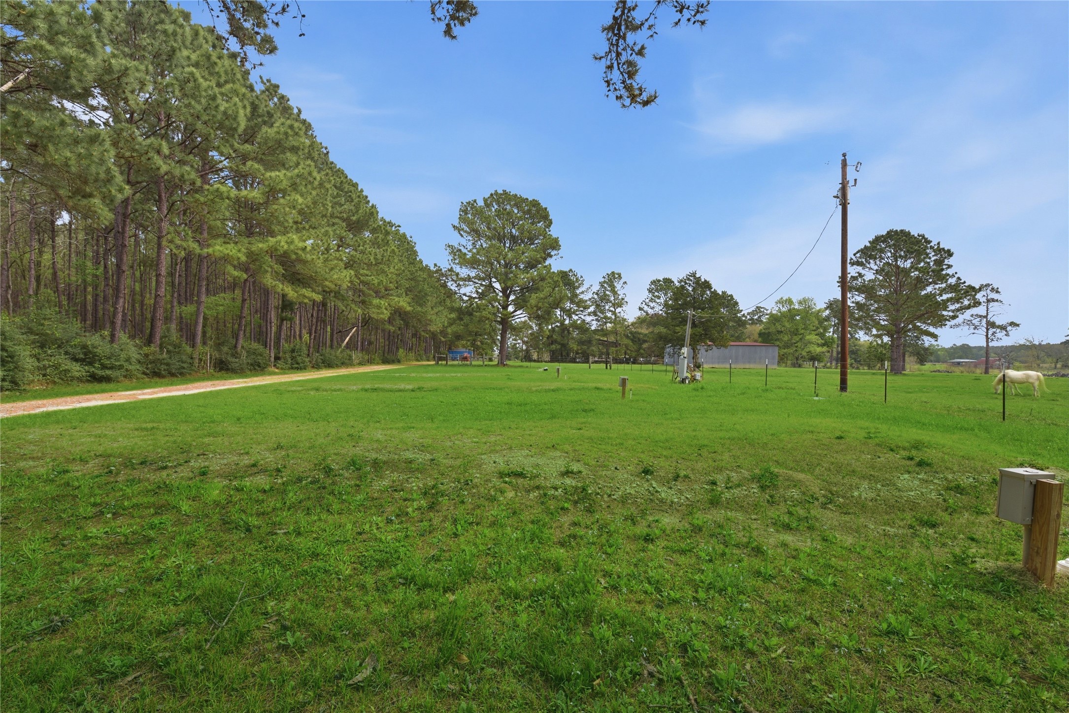 872 Four Notch Road Huntsville, TX 77340 - Photo 42 of 42 Expansive green lot bordered by lush trees, perfect for building your dream home or enjoying serene outdoor space.