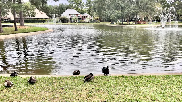 $3,200 | 15807 Arbor Lake Drive, Tomball, TX 77377