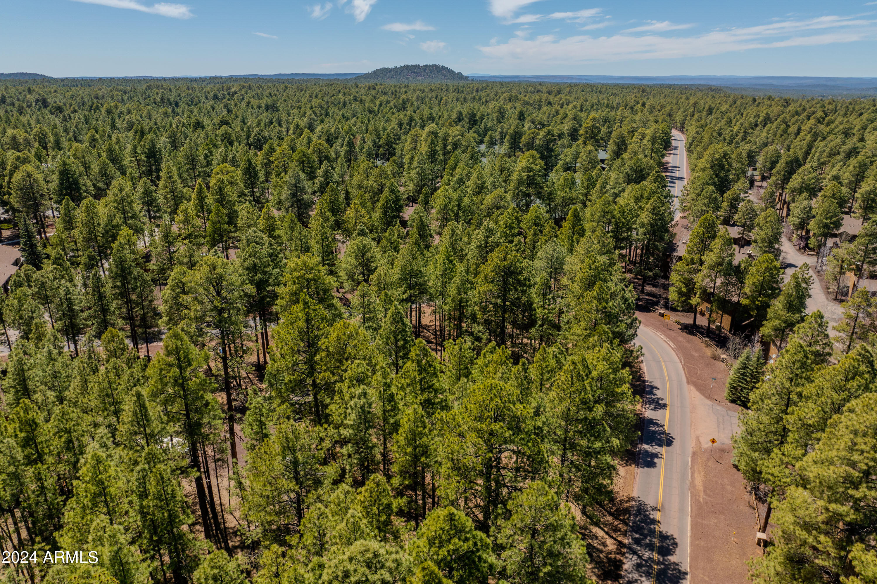 4571 Sky Hi Road Pinetop, AZ 85935 - Photo 13 of 23 4571 Sky Hi-13