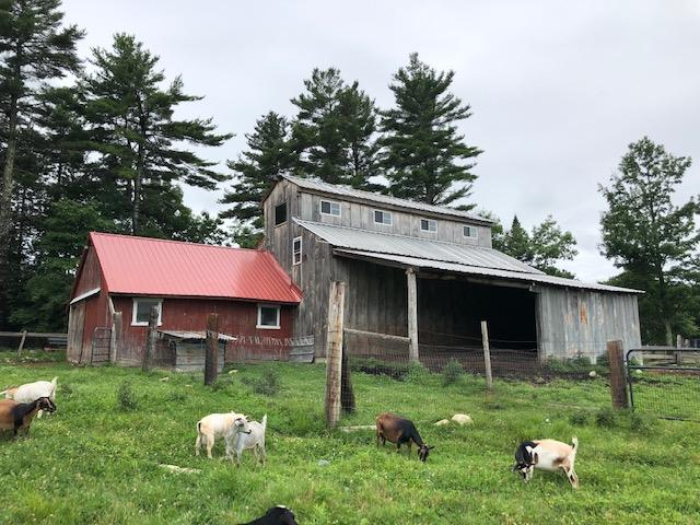 437 Sam Page Road Acton, ME 04001 - Photo 42 of 42 image10