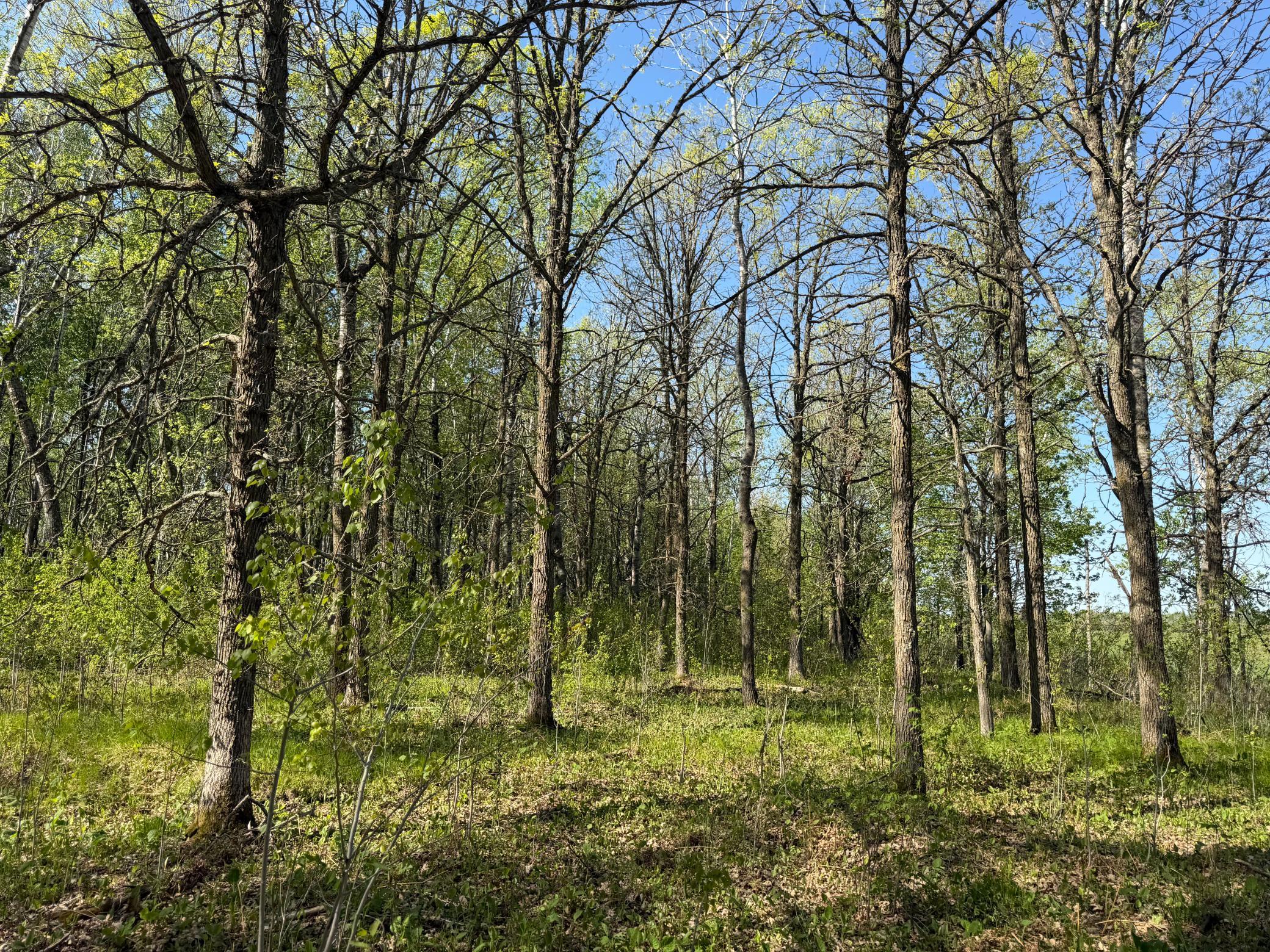 14 Sebeka Mn 56477 Sebeka, MN 56477 - Photo 58 of 79