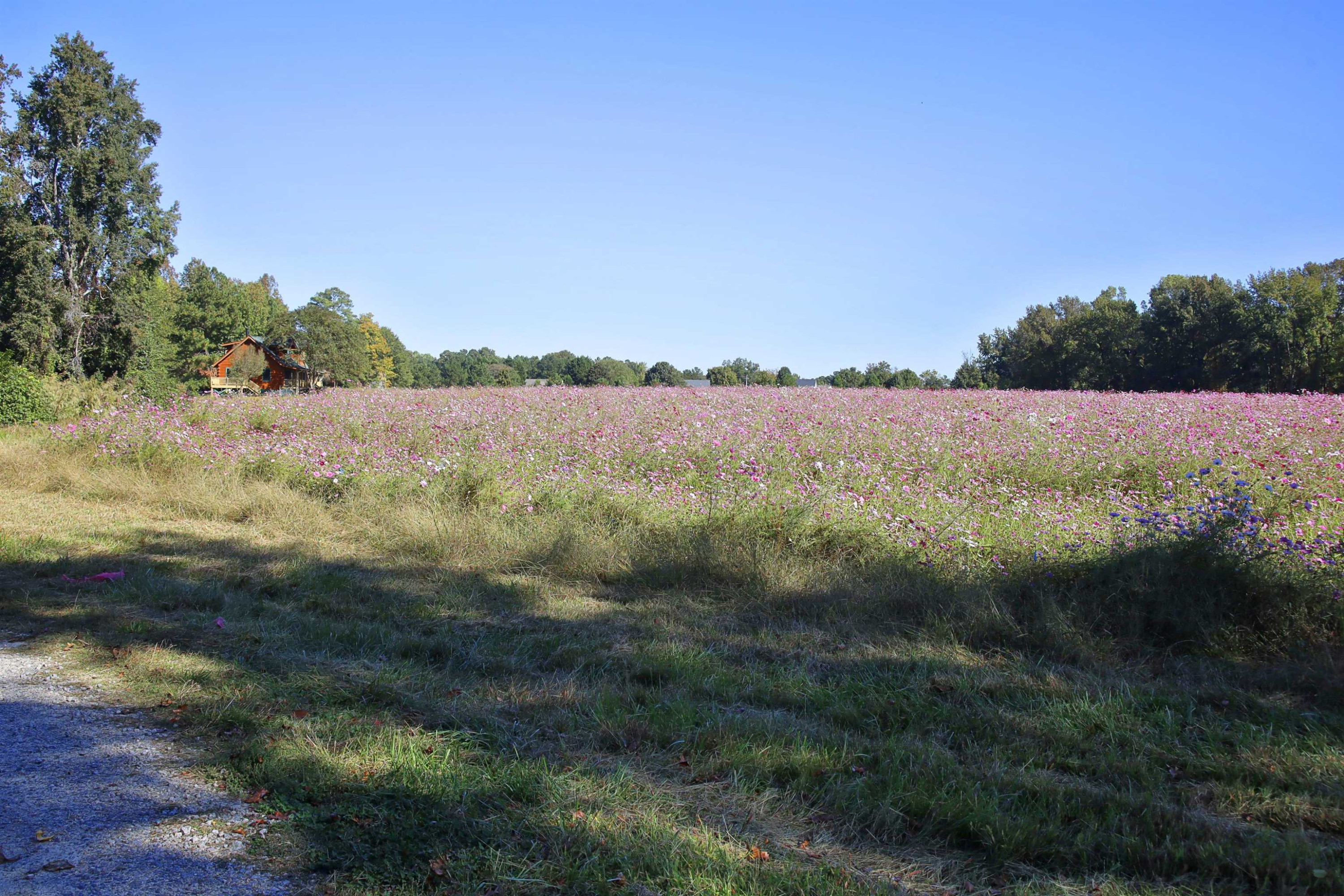 3928 Granny Farm Road Clayton, NC 27520 - Photo 7 of 62 Photo 7