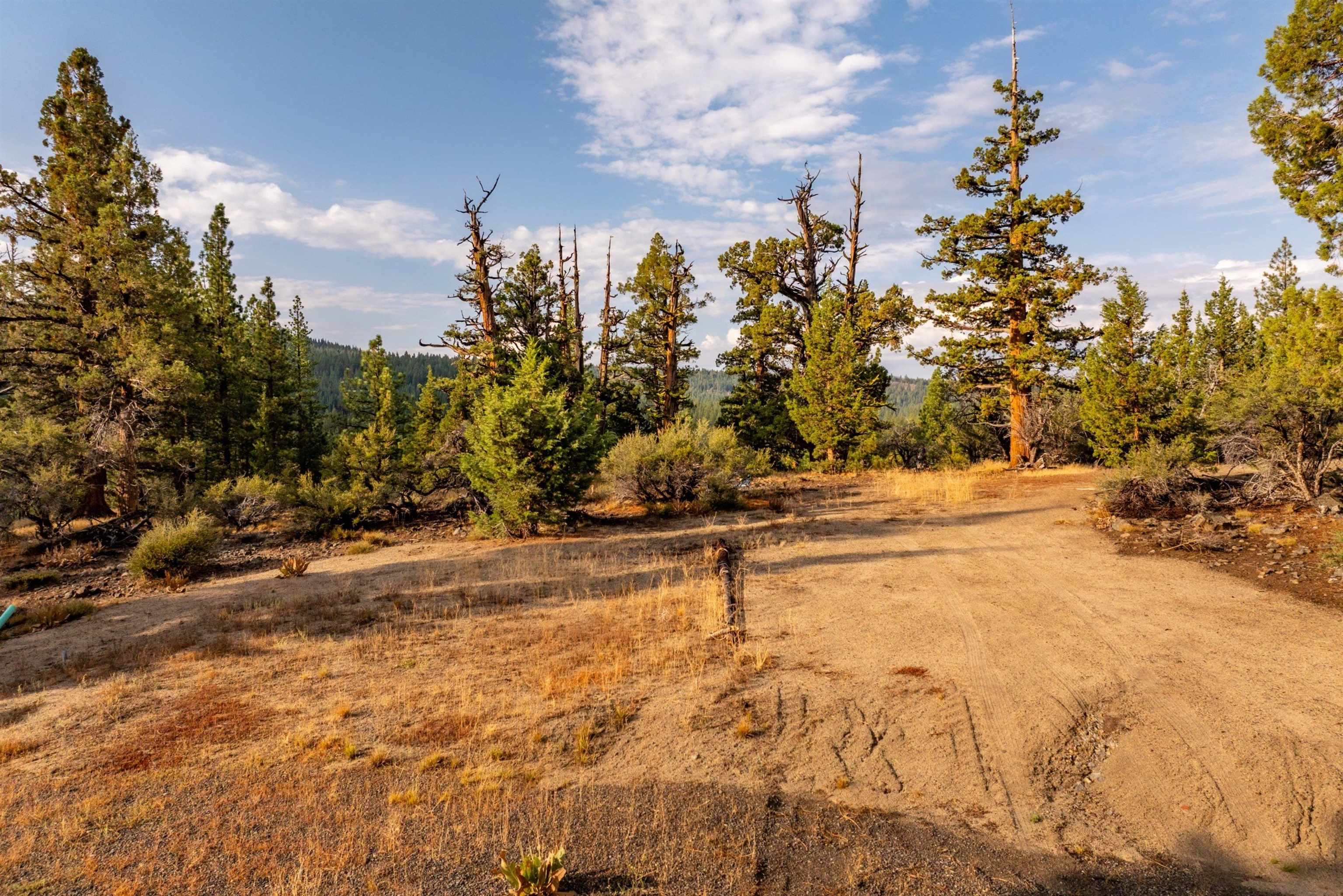 17545 Close Call Ridge Truckee, CA 96161 - Photo 9 of 28