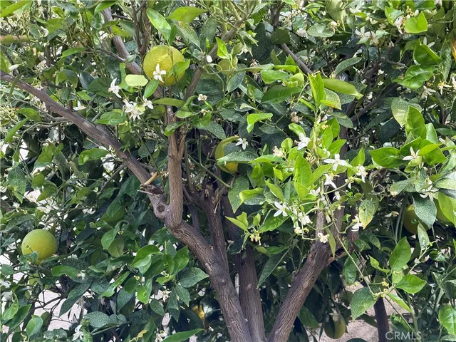 $749,000 | 7863 Iroquois Street, Fontana, CA 92336