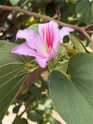 $749,000 | 7863 Iroquois Street, Fontana, CA 92336