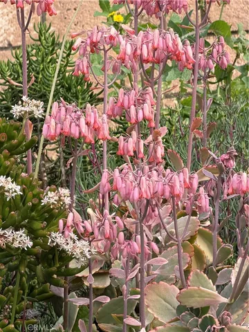 $749,000 | 7863 Iroquois Street, Fontana, CA 92336