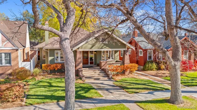 a view of yard along with trees