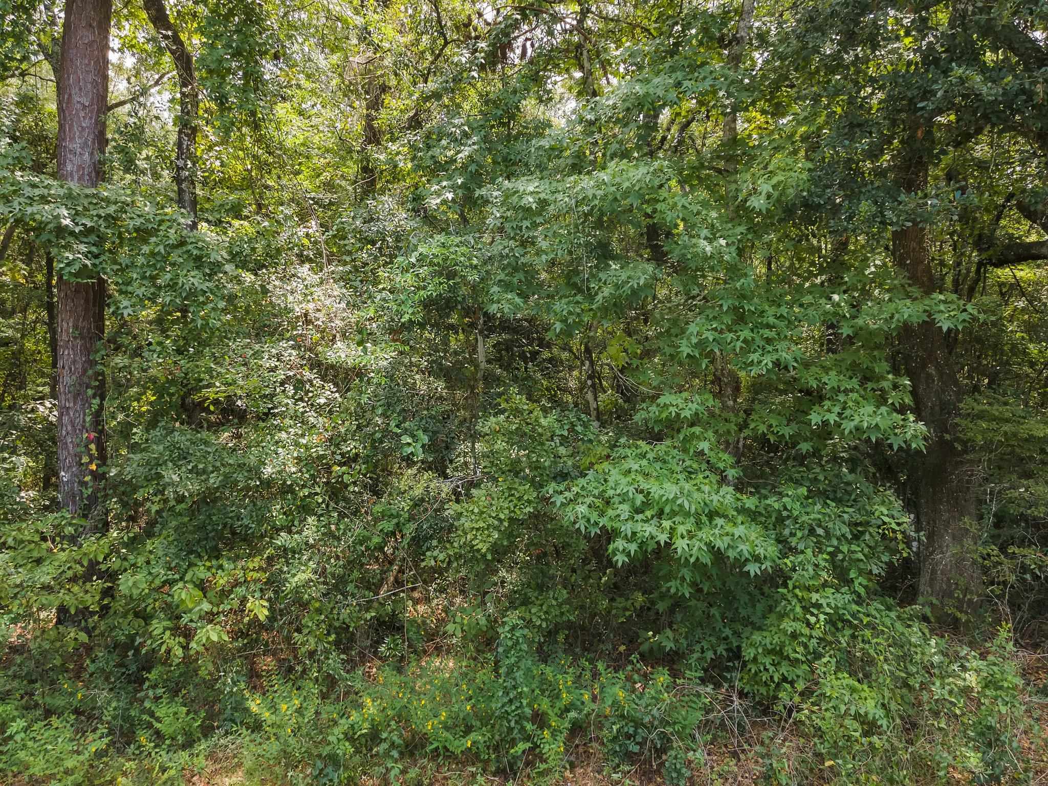 Payton Road Monticello, FL 32344 - Photo 1 of 12 Gallery Image 1