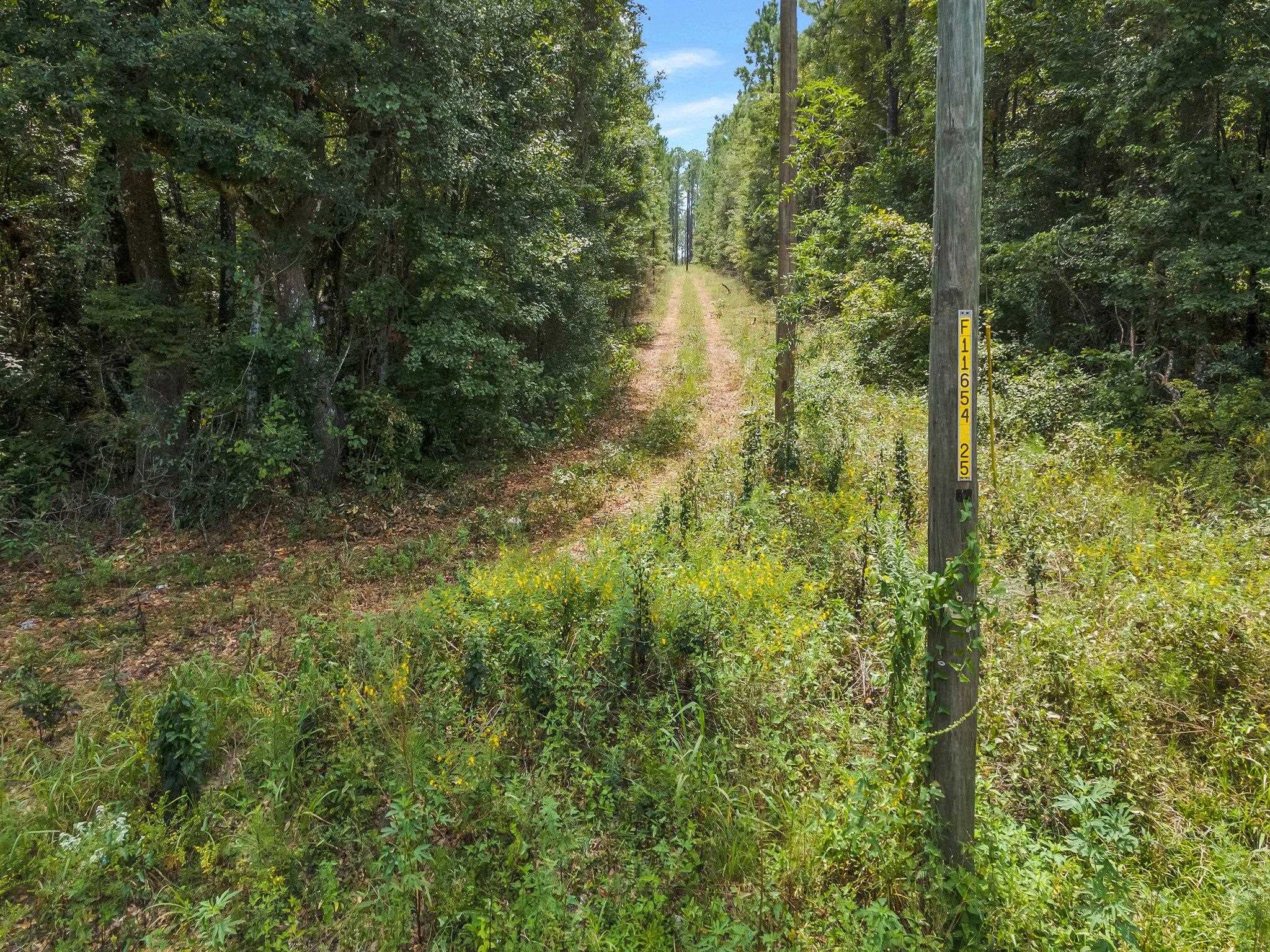 Payton Road Monticello, FL 32344 - Photo 11 of 12 Gallery Image 11