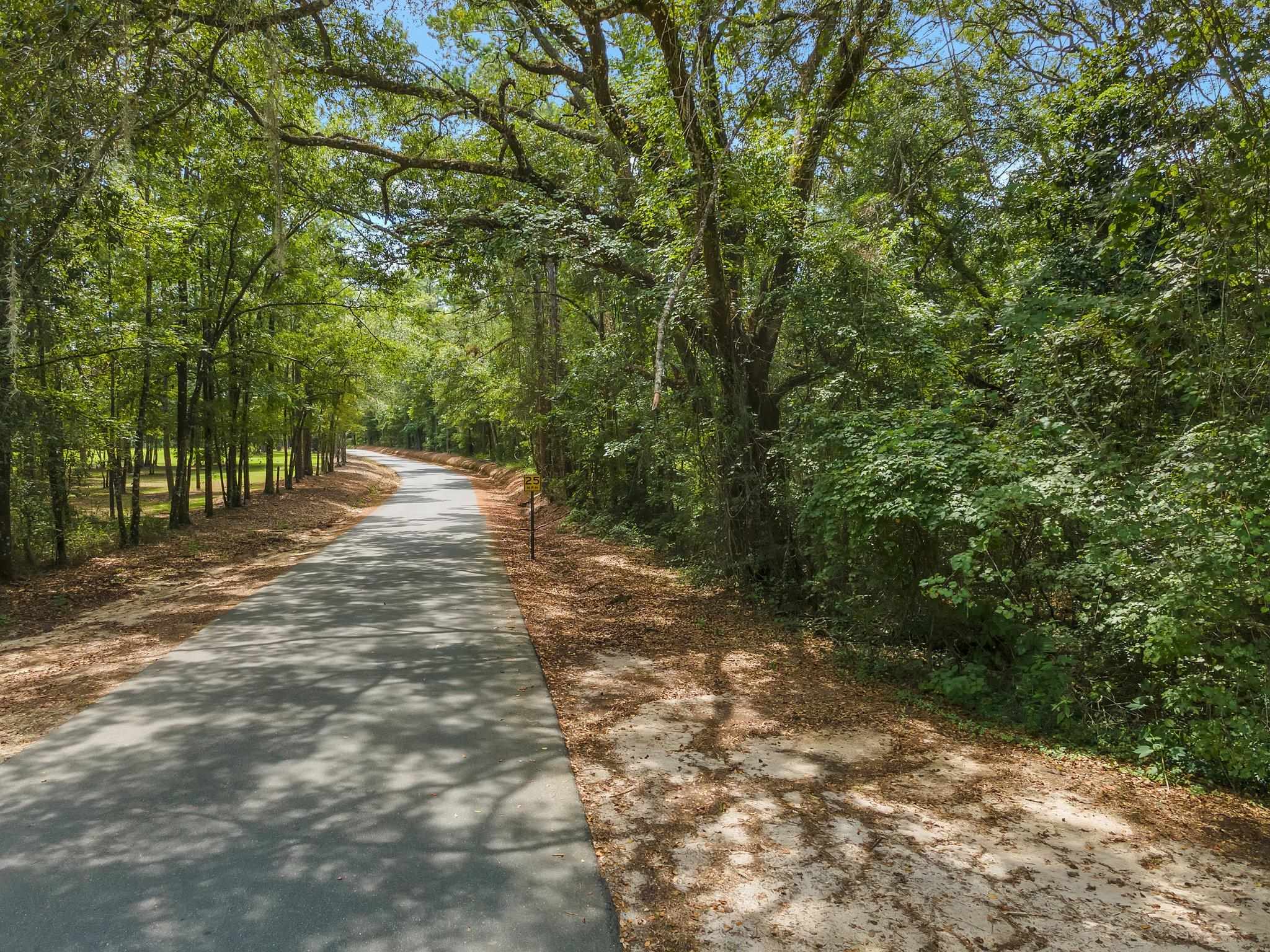 Payton Road Monticello, FL 32344 - Photo 6 of 12 Gallery Image 6