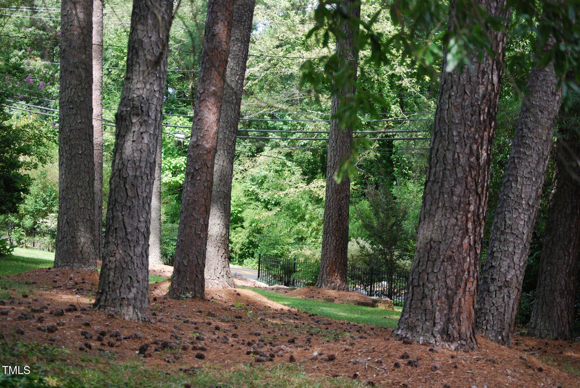 416 Morreene Road Durham, NC 27705 - Photo 24 of 28 a backyard of a house with lots of green space