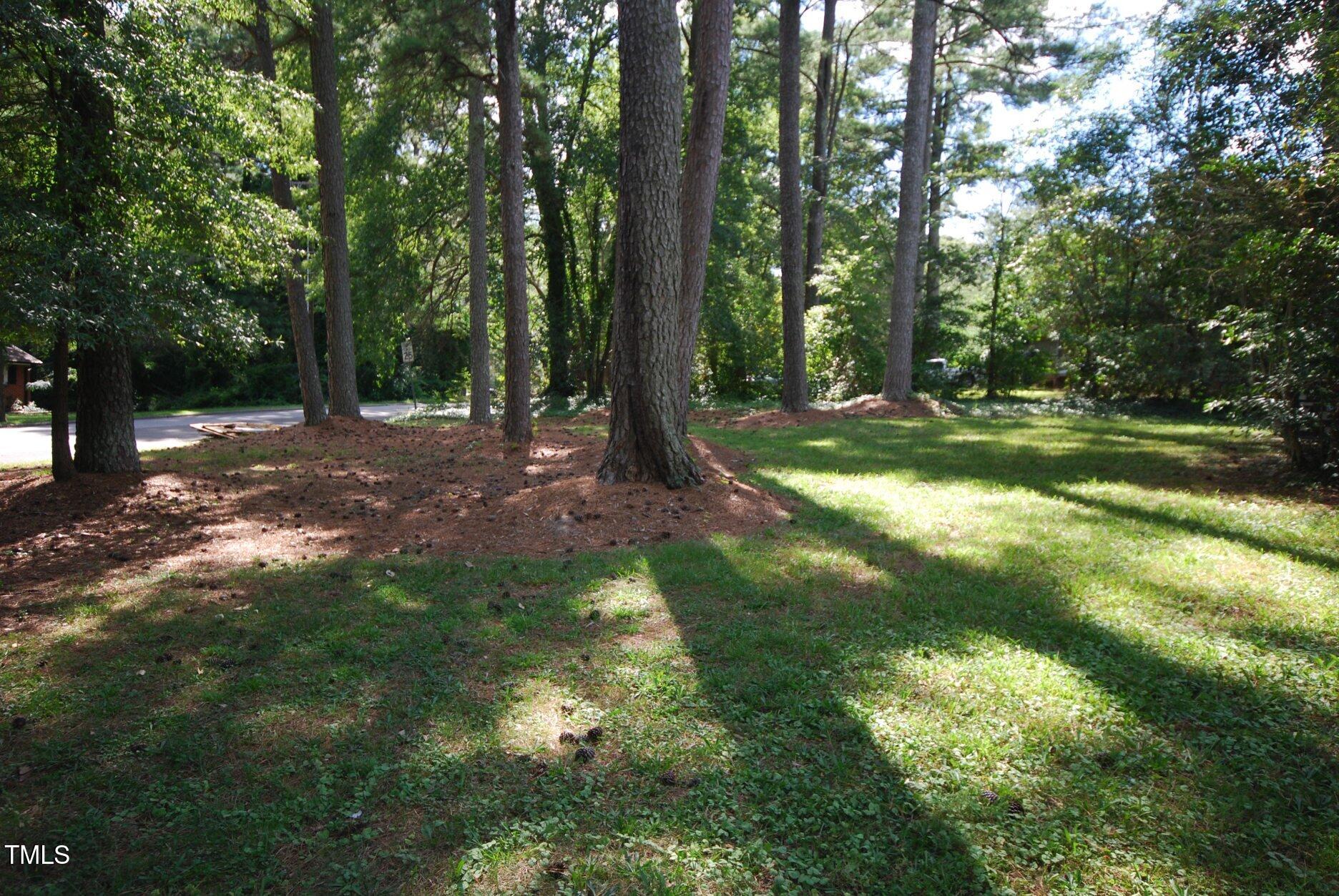 416 Morreene Road Durham, NC 27705 - Photo 25 of 28 a view of a forest with trees