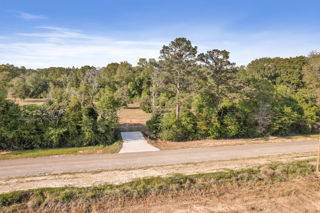 0 Approx4acres Bruner Pond Road Ashford, AL 36312 - Photo 4 of 16