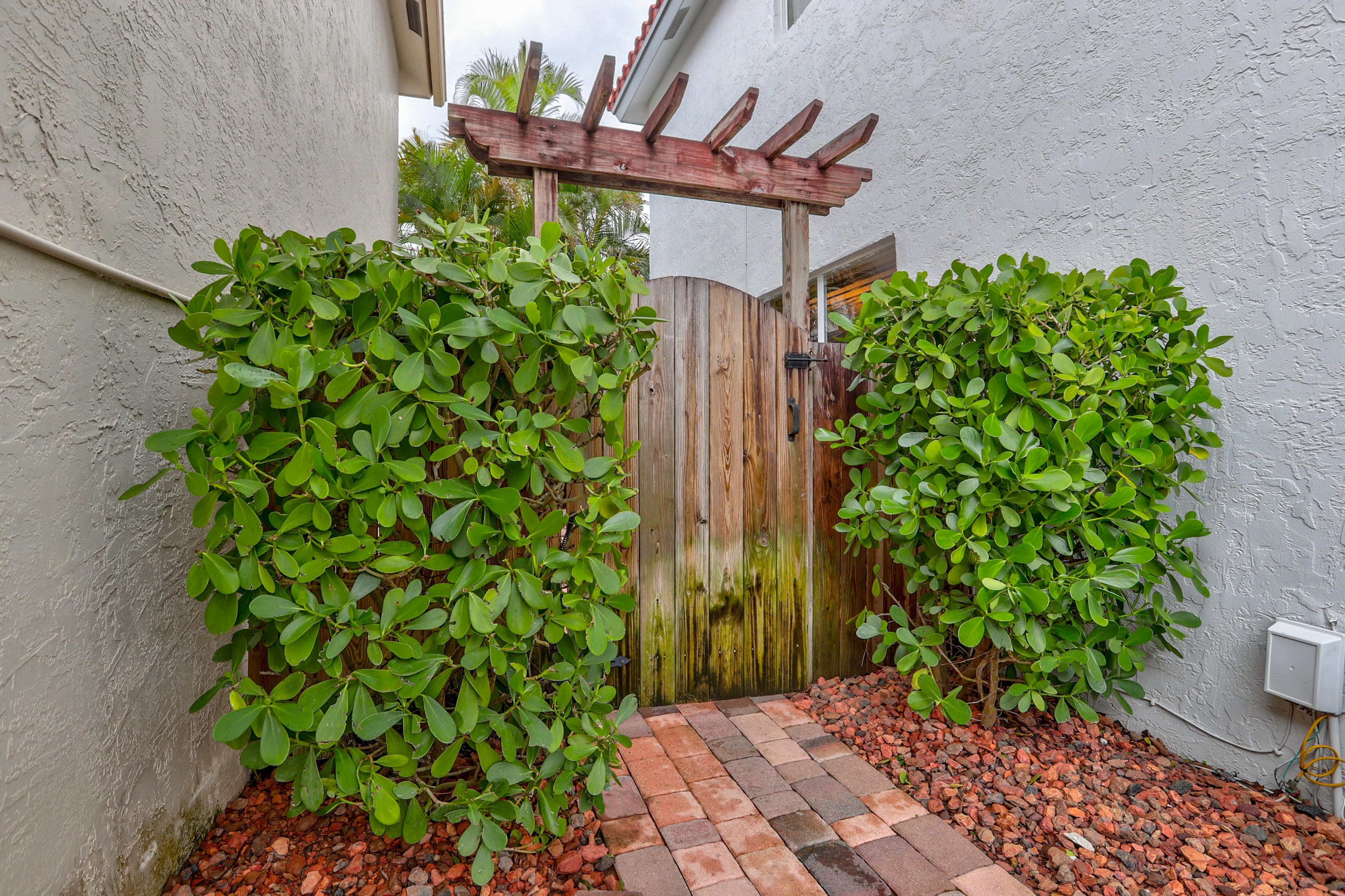 10620 Lake Jasmine Drive Boca Raton, FL 33498 - Photo 32 of 41 a view of a backyard with plants