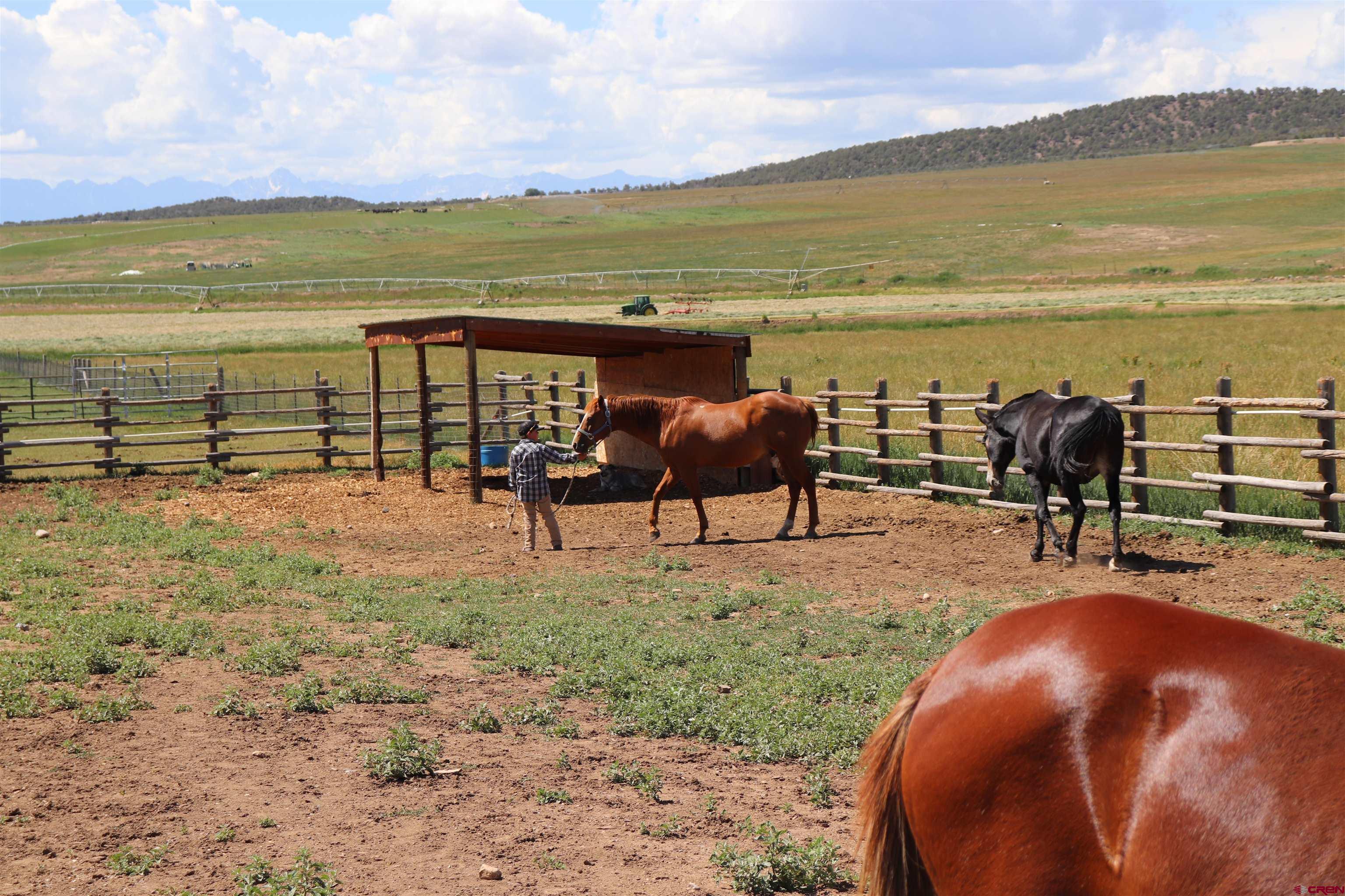 10203 Bostwick Park Road Montrose, CO 81401 - Photo 20 of 40