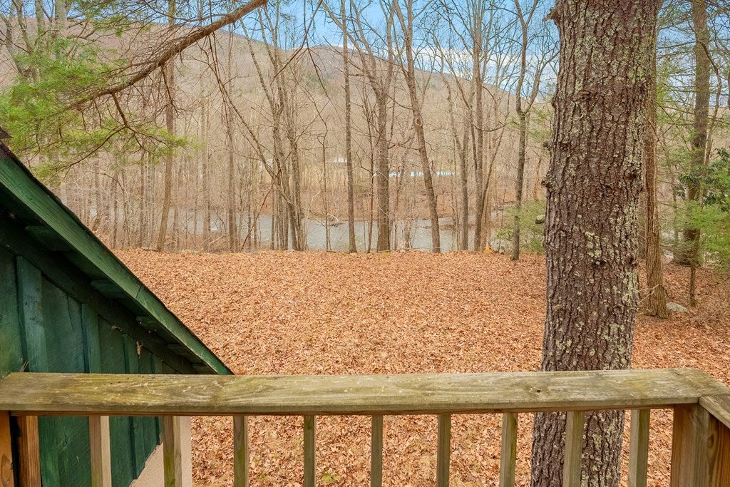 0 Grapefield Road Bastian, VA 24314 - Photo 34 of 63 Gallery Image 34