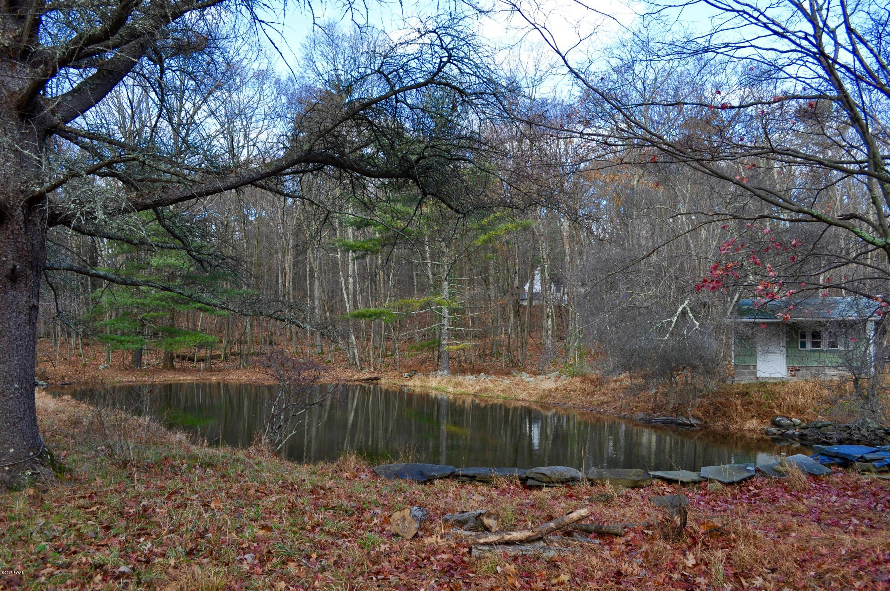 FISH POND