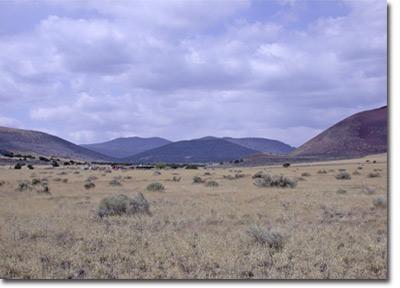 42012 Alpine Ranch Flagstaff, AZ 86004 - Photo 1 of 1 Primary Photo