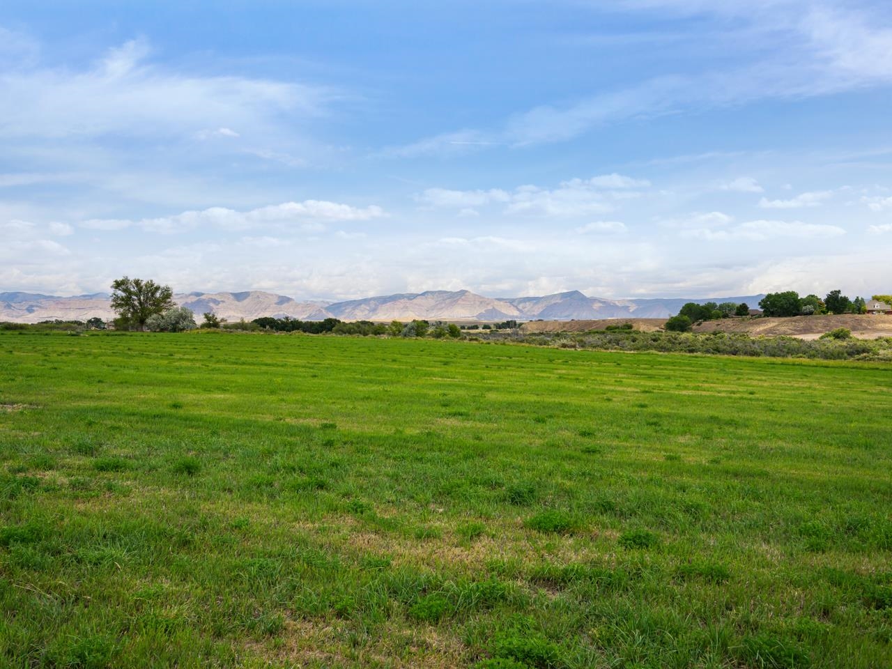 1810 M 3/4 Road Fruita, CO 81521 - Photo 11 of 15
