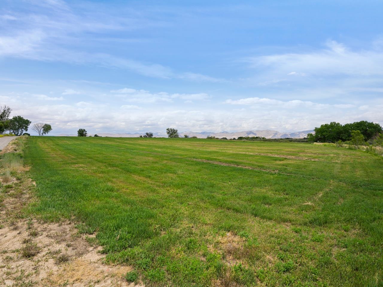 1810 M 3/4 Road Fruita, CO 81521 - Photo 12 of 15 a view of a grassy field with an trees