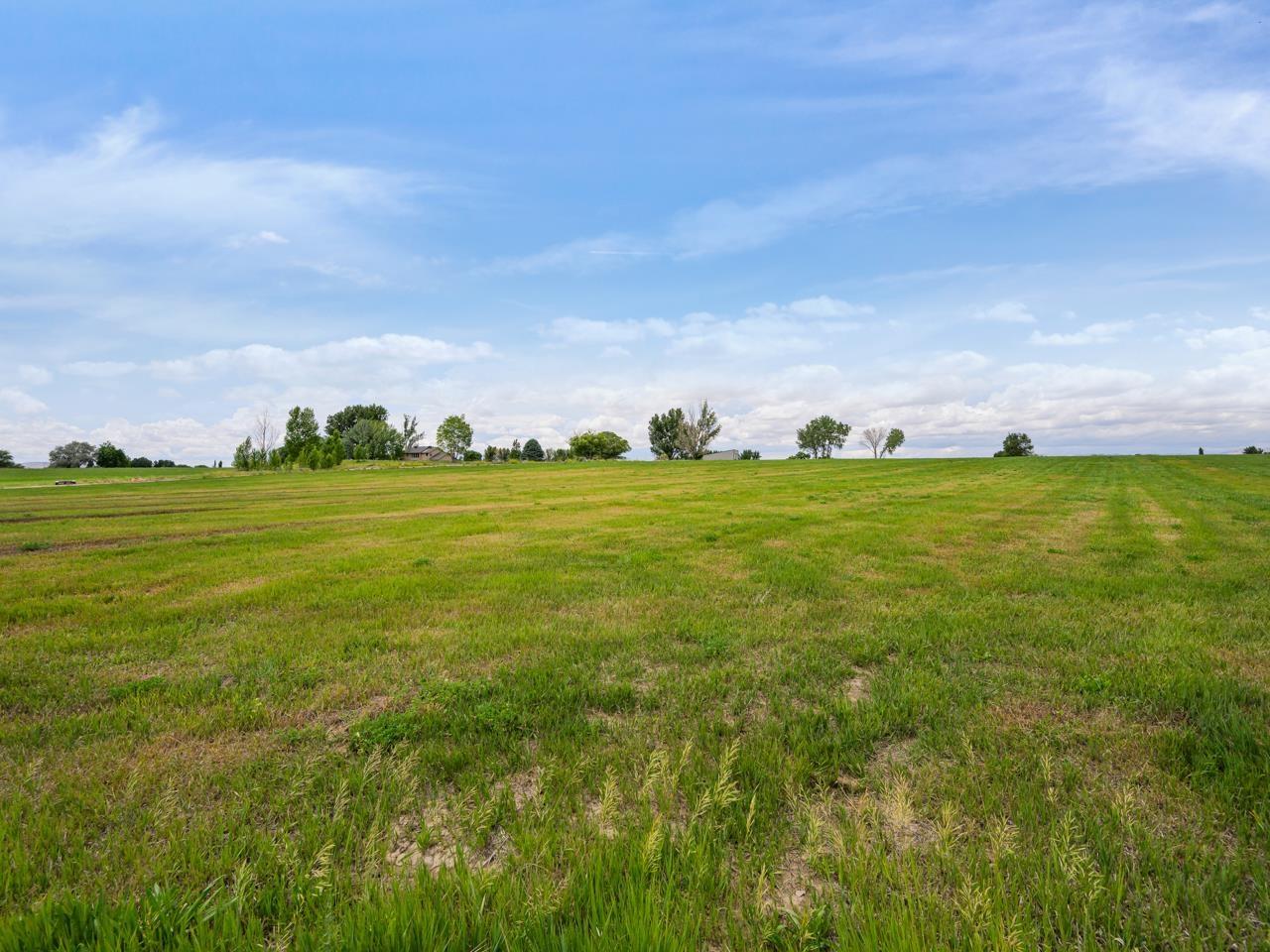 1810 M 3/4 Road Fruita, CO 81521 - Photo 13 of 15 a view of a big yard with large trees