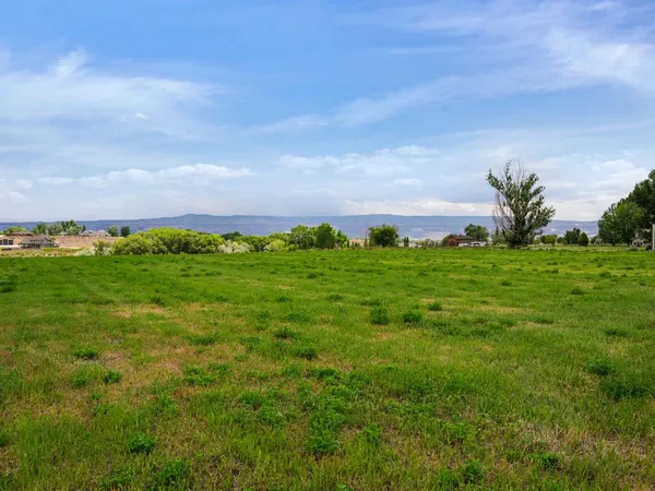 a view of a field with an trees in the background