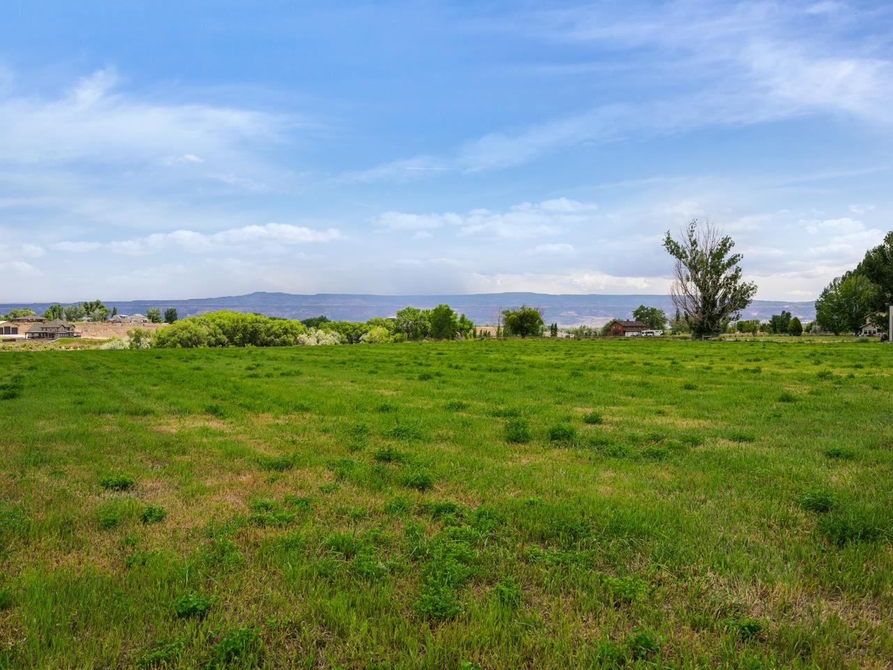 1810 M 3/4 Road Fruita, CO 81521 - Photo 9 of 15 a view of a field with an trees in the background
