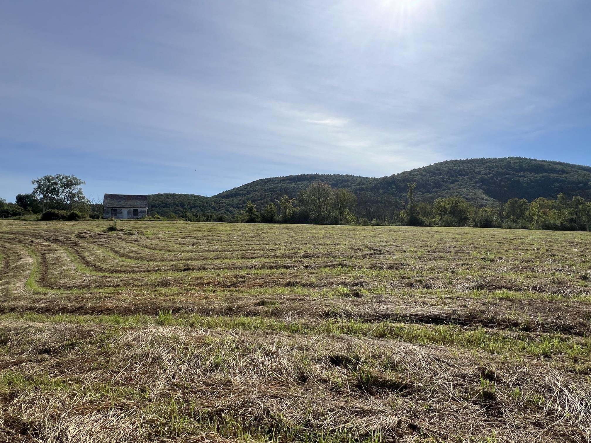 7998 Main Road West Haven, VT 05743 - Photo 21 of 36 Gallery Image 21