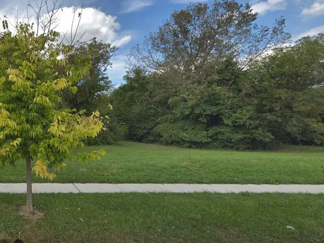 a view of a grassy field