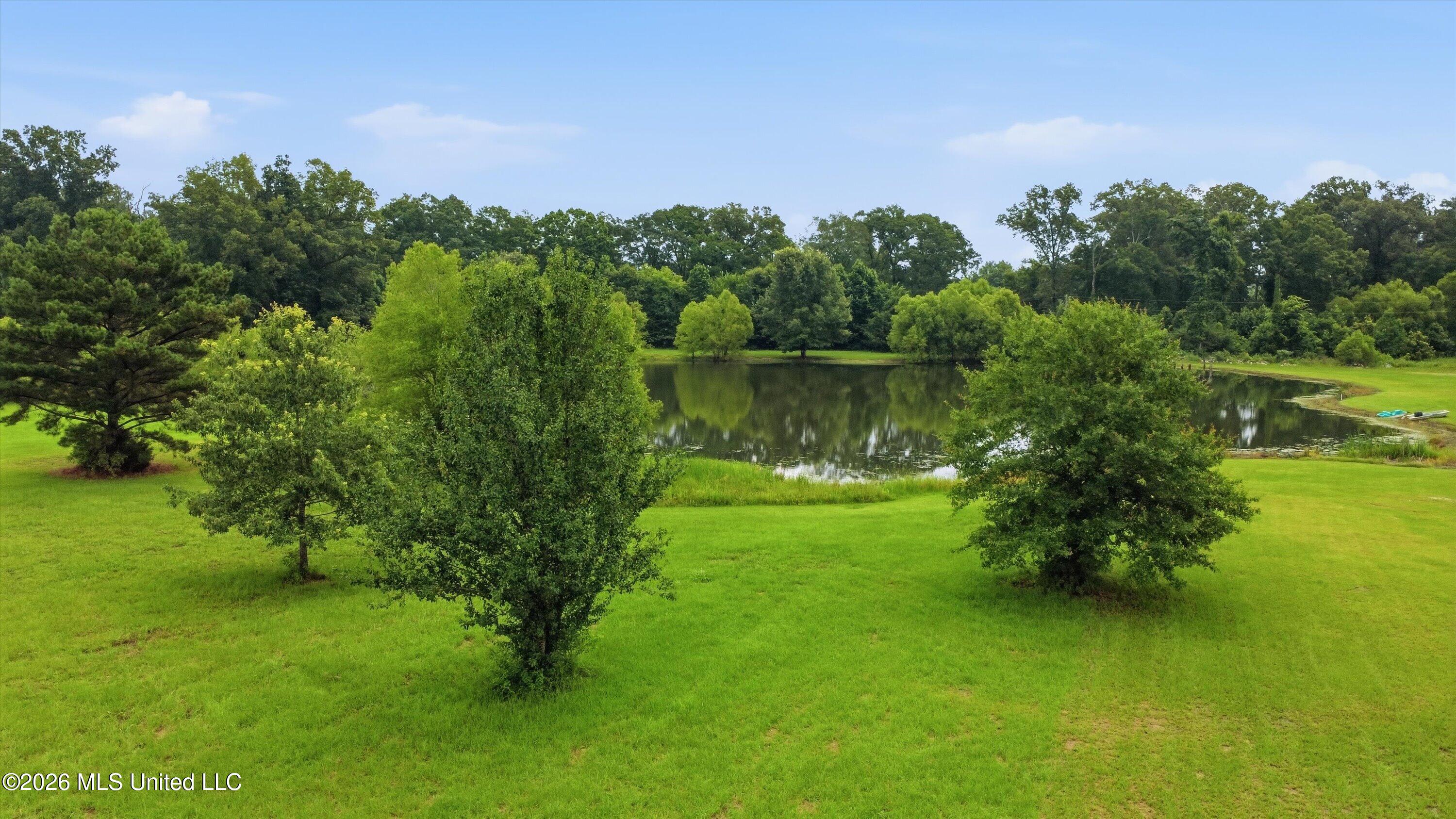 142 Iron Oak Ridge Brandon, MS 39042 - Photo 14 of 26 18-142_Iron_Oak_Ridgee_019