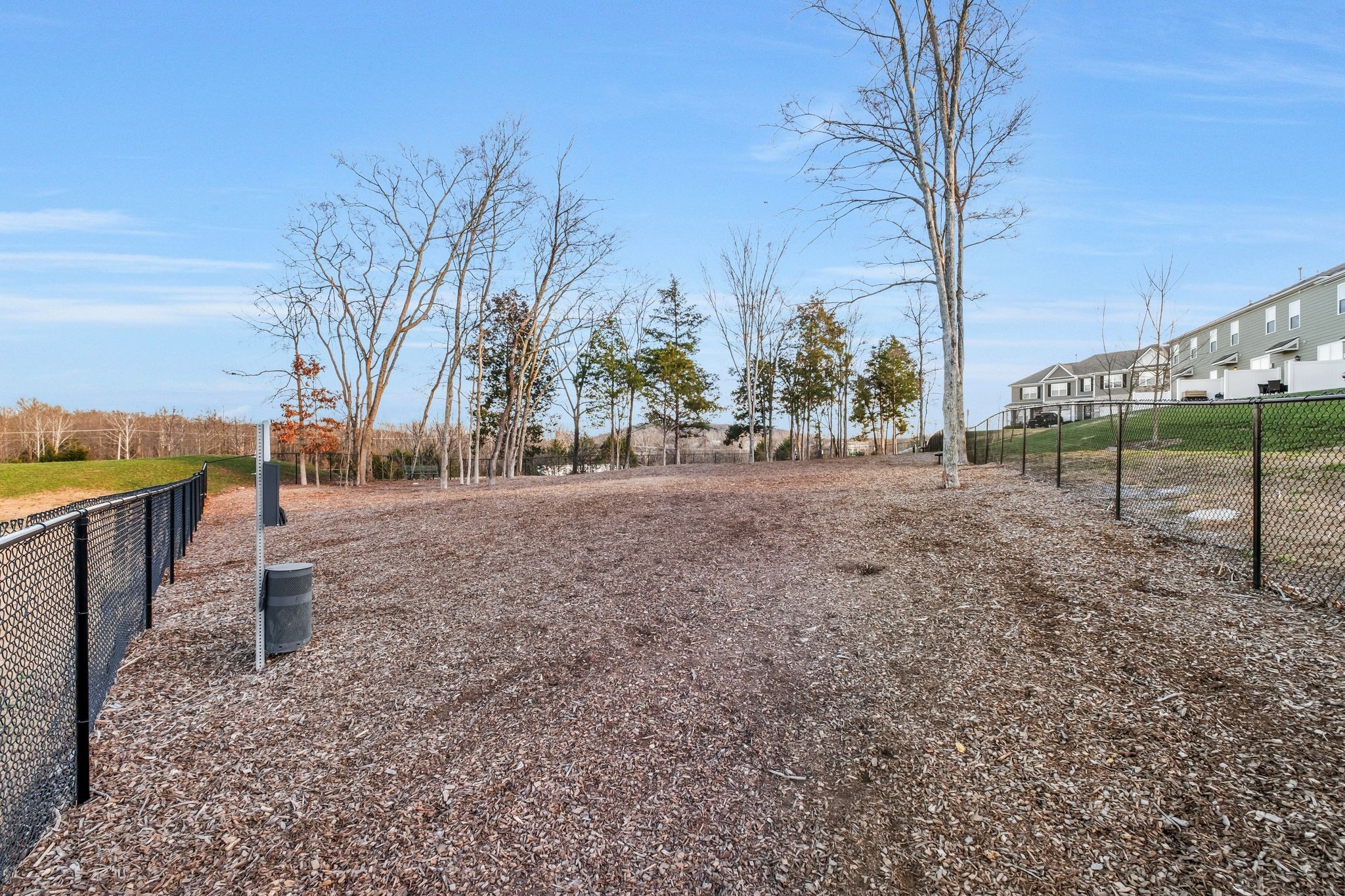 441 Waterfowl Way Lebanon, TN 37090 - Photo 19 of 21 a backyard of a house with lots of green space