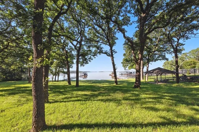 a big yard with trees