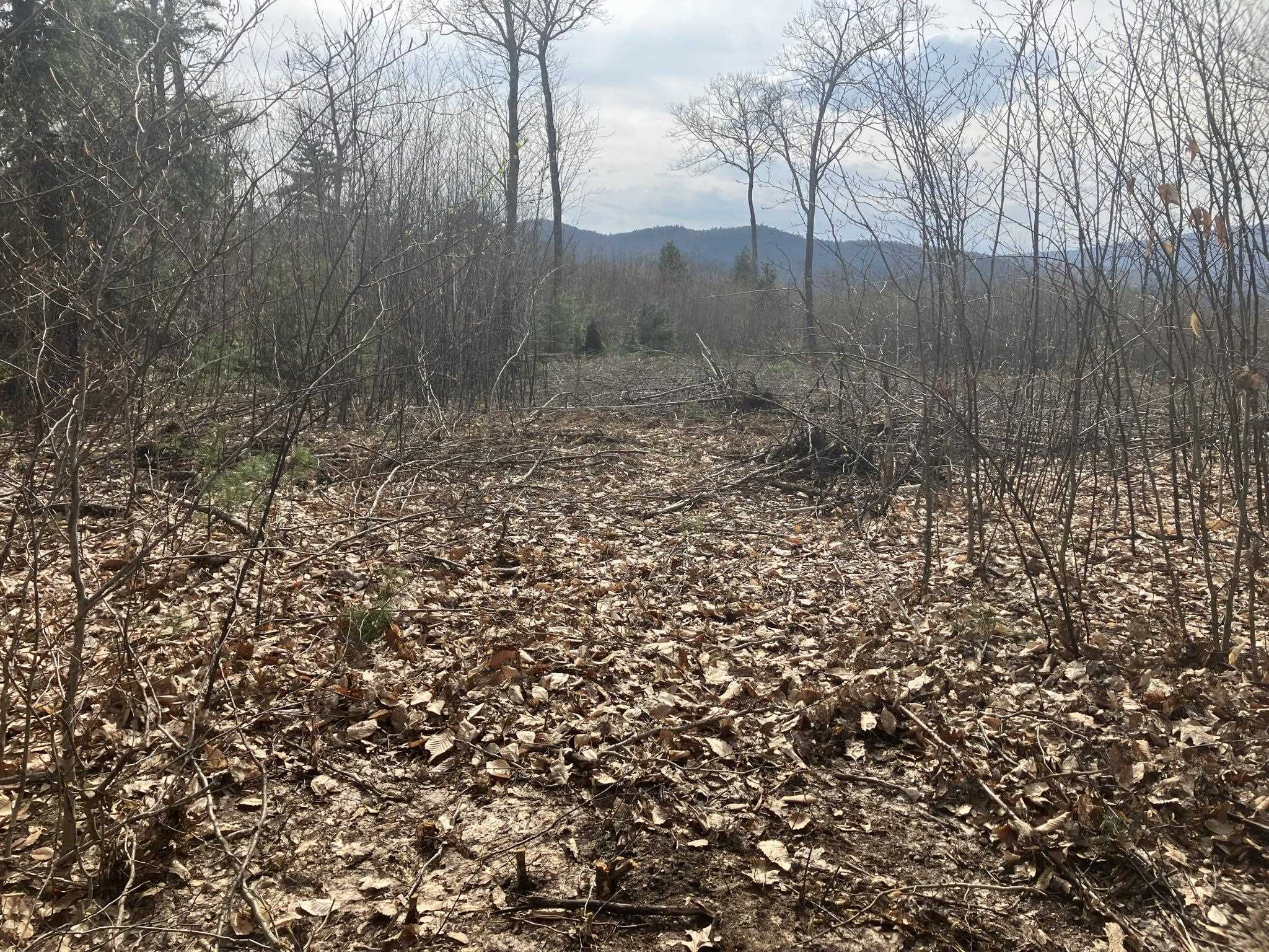 Lot#2 C Blake Hill Road New Hampton, NH 03256 - Photo 3 of 4