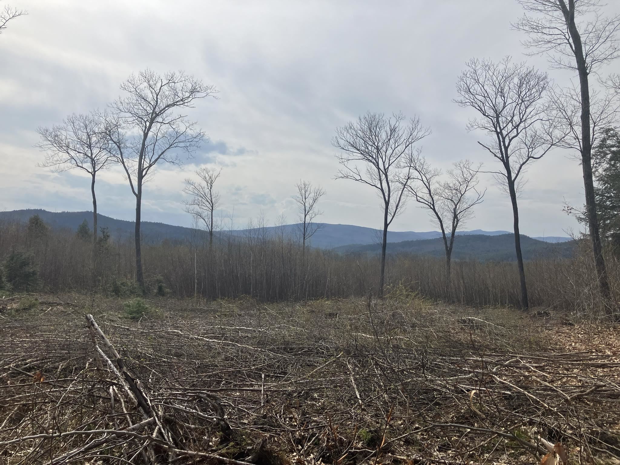 Lot#2 C Blake Hill Road New Hampton, NH 03256 - Photo 4 of 4