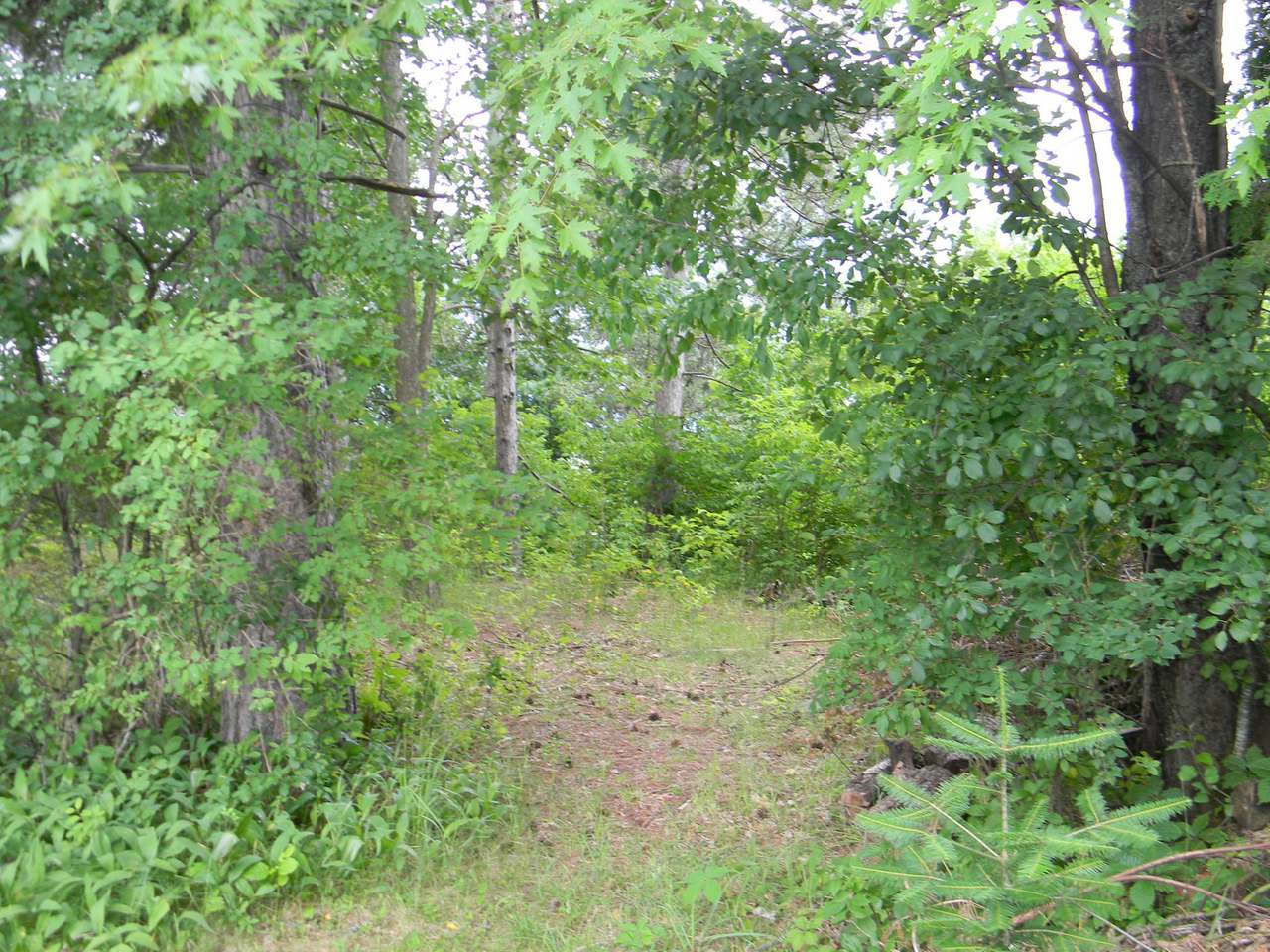 828 Eagle Street Rhinelander, WI 54501 - Photo 23 of 38 Gallery Image 23
