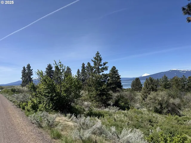a view of a bunch of trees in a field