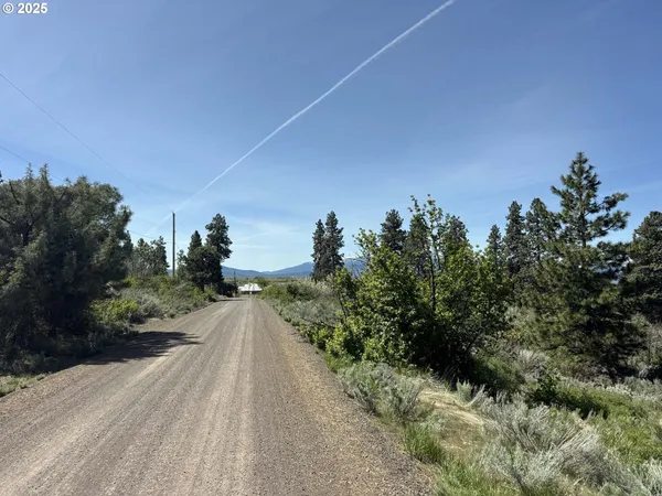 a view of a car parked on a road near a forest