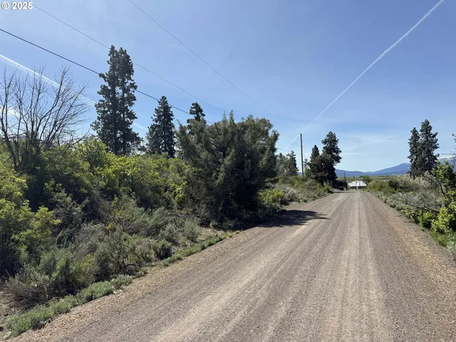 a view of a car parked on a road near a forest