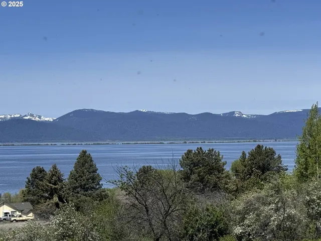 a view of a house with a garden