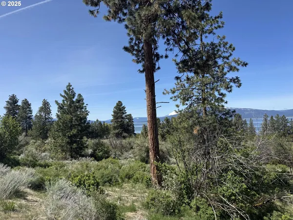 $58,000 | Oregon Shores Drive, Unit 18, Chiloquin, OR 97624