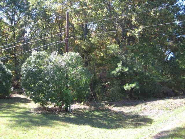 a view of a tree with a yard