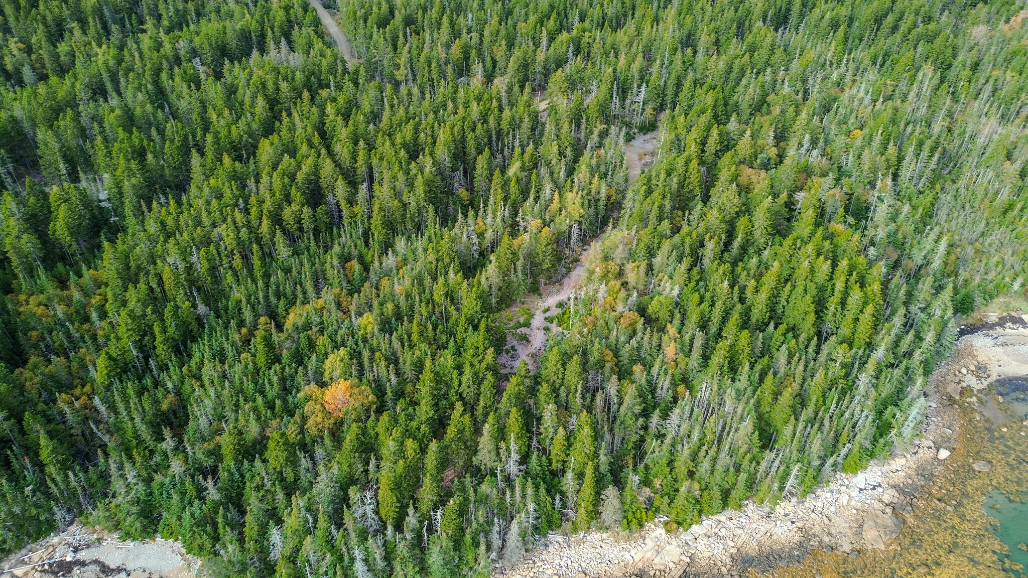 Lot 2 Seaduck Road Beals, ME 04611 - Photo 26 of 28