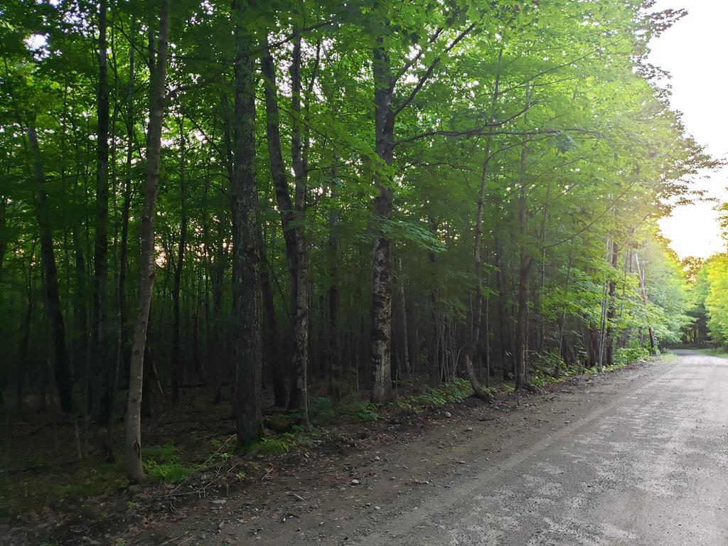 Mapr6-lot19 Dill Road Starks, ME 04911 - Photo 15 of 25 20190829_190905 (Copy)