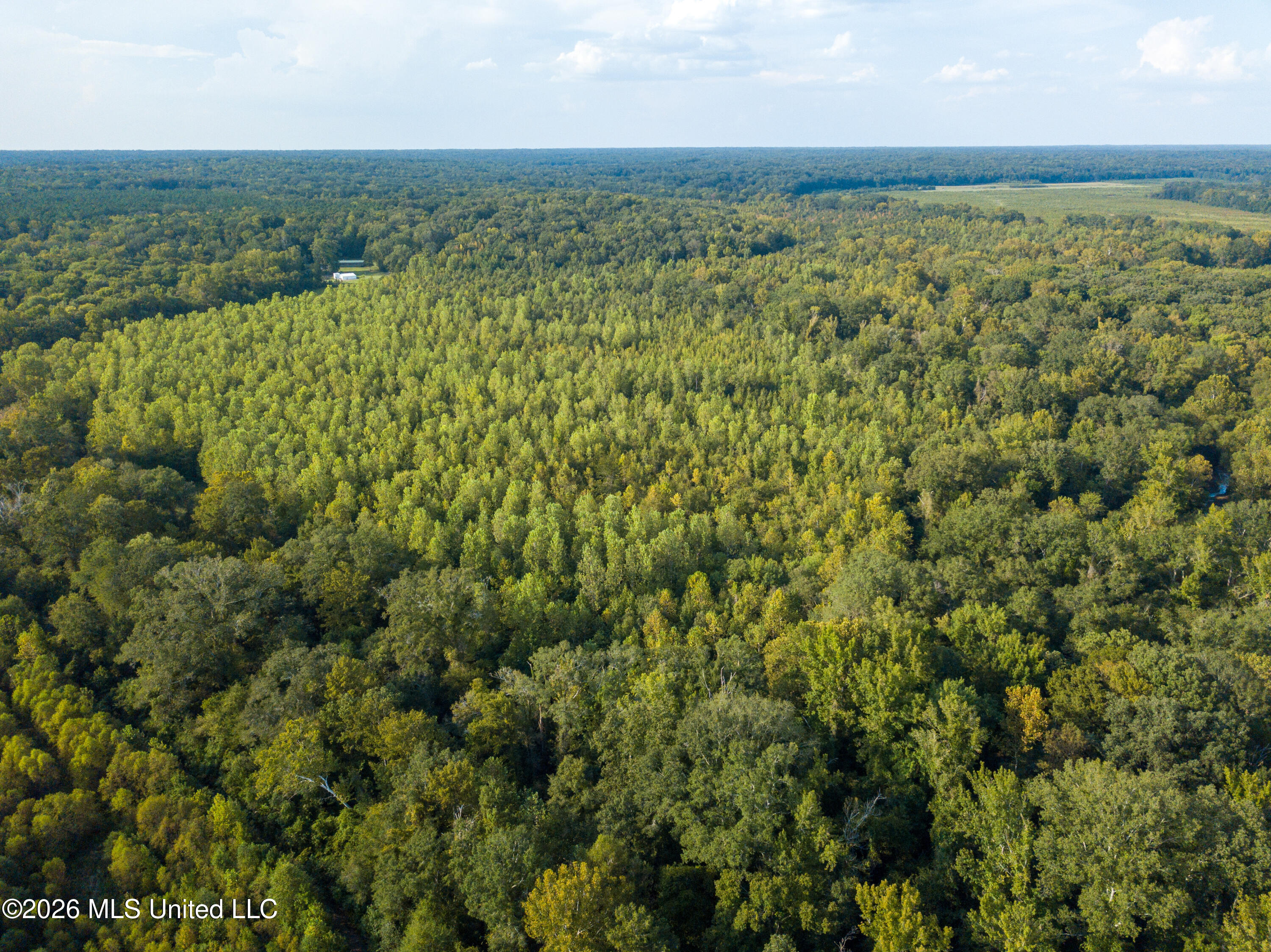 5163 Cox Ferry Road Bentonia, MS 39040 - Photo 12 of 78 DJI_0847