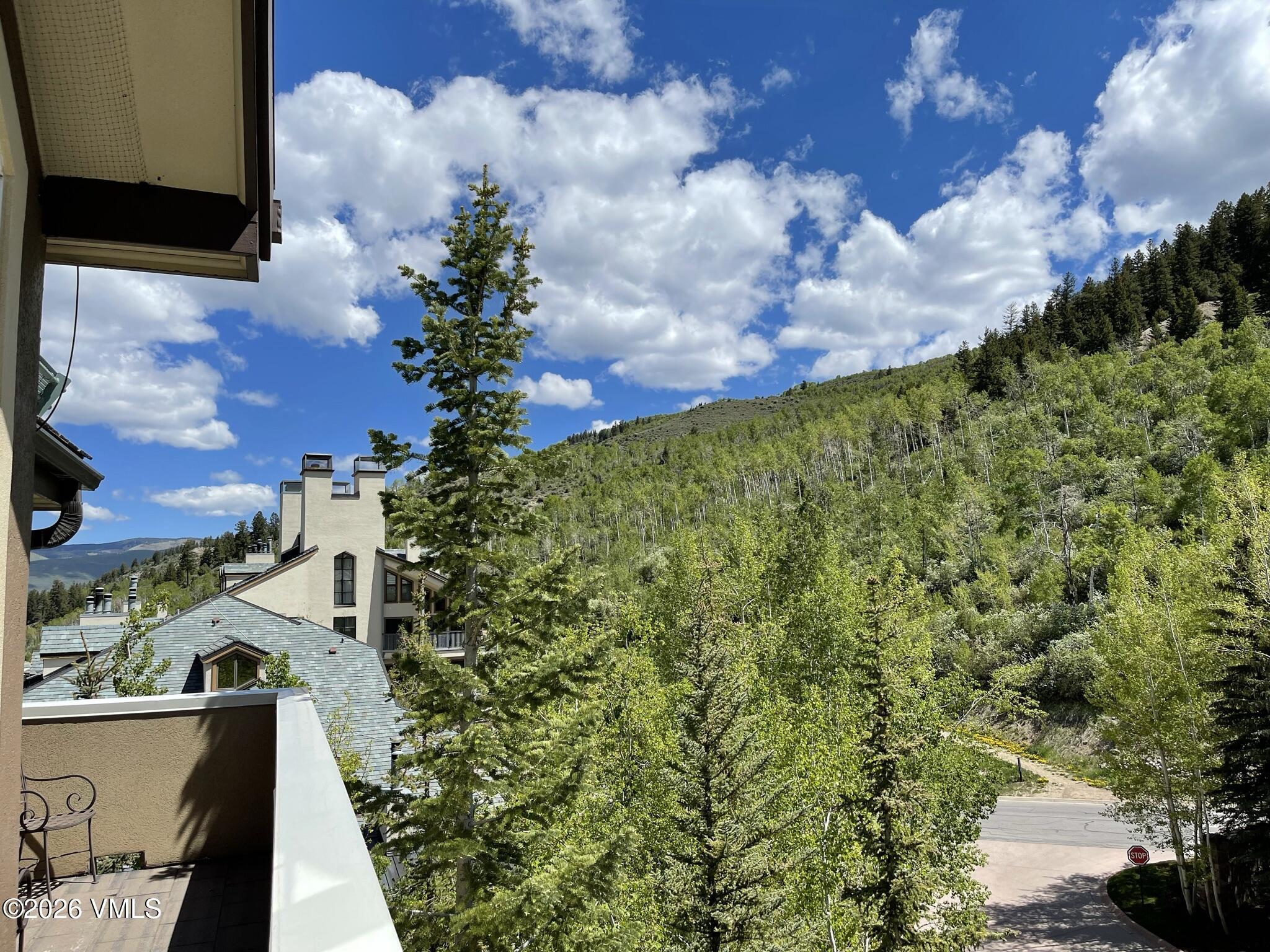 210 Offerson Road, Unit 41912 Beaver Creek, CO 81620 - Photo 21 of 28 a view of a garden