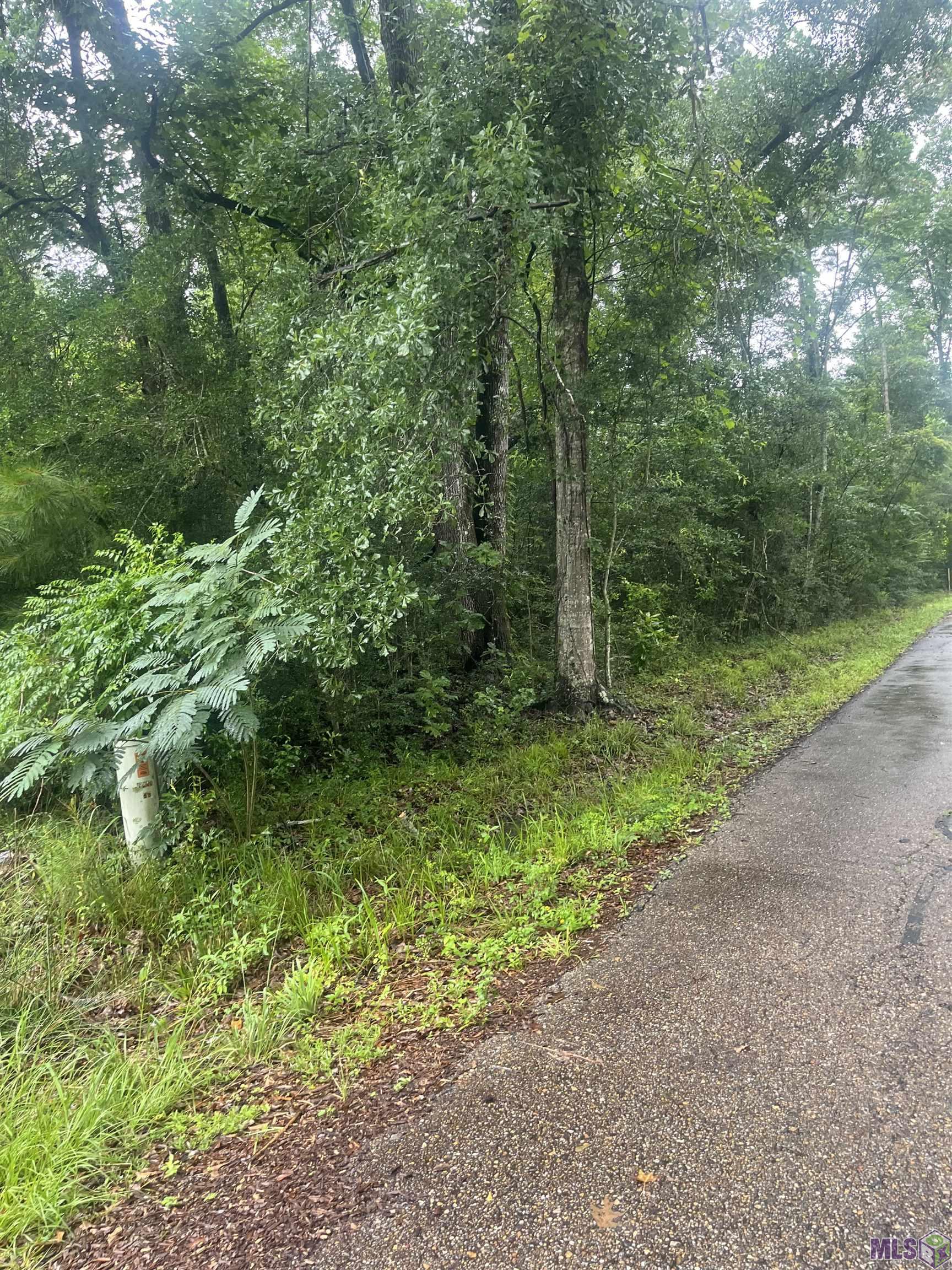 19925 Perrin Ferry Road Springfield, LA 70462 - Photo 4 of 5